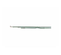 Ramal réglable pour Chien Trixie Premium Vert L/XL - Marque : Trixie - EAN : 4053032671874