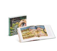 Ramayana de Valmiki illustré par les miniatures indiennes du XVIe au XIXe siècle - Édition abrégée