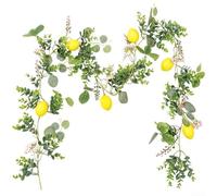 Rameau Citron Fake 200cm Centre de Table pour fête Été Rameau(Style A) | Soie , aspect réaliste, 200cm de longueur, pour idéal mariage, pour fête d'été