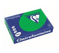250 feuilles A4 - 160g - Couleur vives - Vert Billard - Trophée Clairefontaire 1007C G