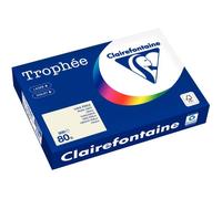 Ramette de 500 feuilles format A4 80g gris perle CLAIREFONTAINE
