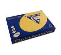 250 feuilles A4 - 120g - Couleurs pastels - Bouton d'or - Trophée Clairefontaine G