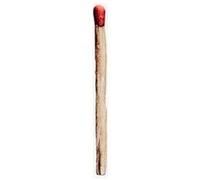 RAMMSTEIN E