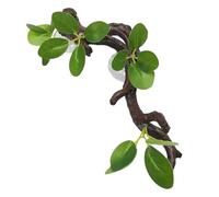 Ramo di Arrampicata per Rettili e in Resina - Decorazione Naturale per Terrario Con Foglie - Tronco Con per Lucertole, Geki, Camaleonti e Drago Barbuto