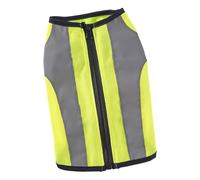RAMPA LETTRE CAT - Rilico non slip pour bac à litière, plate-forme portable | Échelle automatique, rampe d'accès anti-traces, phase à faible inclinaison, accessoire pour rampe P