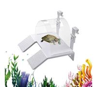 Rampe de Bain de pour Tortue Double Échelle Repos Salamandre | Terrasse Repos Tortue Terrestre Pour Éleveurs Et Amateurs D'Animaux Boutiques Maison Bureau Terrarium Enclos Salon