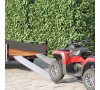 Rampe de chargement 200 kg Argent 200 kg par pièce vidaXL