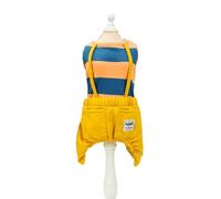 Rampe De Chien Vêtements Colorés pour Chiots Combinaisons Combinaisons pour Les Vêtements De Chemise À Rayures en Plein Air