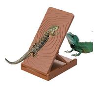 Rampe de repos pour reptile, réservoir d'ardoise pour gecko, accessoires de terrarium pliable pour lézard, se reposer, jouer, nourrir les serpents, grenouilles, tritons, tortues, caméléons