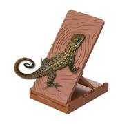 Rampe d'escalade pour reptiles - Habitat d'escalade en ardoise pour reptiles | Accessoires de terrarium pour les amateurs d'animaux de compagnie, vivarium, se reposer, jouer, nourrir lézard, geckos