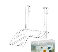 Rampe d'escalade pour tortue Plateforme flottante transparente à hauteur