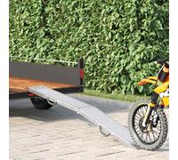 Rampe Pliable 200kg par rampe Argenté 200 kg par rampe vidaXL vidaXL