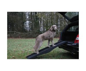 Rampe pour chien Nobby Pet Noir 40x152 cm