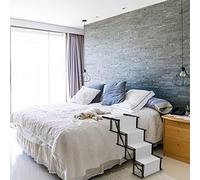 Rampe pour Chien Portable pour Voiture, Convient pour Les Chiens de Grande et Petite Taille. L'échelle Pliable de Voiture est Pratique et Rapide, Peut Supporter Un Poids de 60 kg