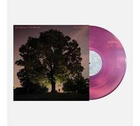 Ramsey, Tyler / Broemel, Carl - Celestun - Magenta