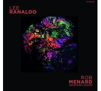 Ranaldo, Lee / Menard, Rob - Lee Ranaldo/Rob Menard Split Release [Musikkassette]