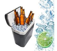 Randaco Glacière électrique portable, 32 Litres Mini réfrigérateur 230 V et 12 V pour voiture et camping, Refroidissement et réchauffe, Glacière thermoélectrique (gris)