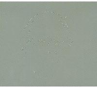 Random Factor - Convergence [Import]