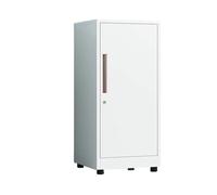 Rangement Outils Jardin avec Serrure Armoire de Rangement en Acier Laminé À Froid avec Poignées Dissimulées Étagères Réglables Étanche et Résistante À L'humidité Armoire Rangementt Garage(White)