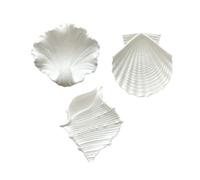 Rangement pour bijoux 3 Pack Conch Scallop Shape Matte Gypsum Jewelry Trays