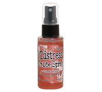 Ranger Distress Oxide Spray Aérosol à l'oxyde de Terre, Plastique, Brique chauffée, 2 Female oz, Set de 57 Pièces