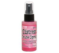 Ranger Oxide Distress Spray oxyde framboise, Plastique, 57 ml (Lot de 1), Set de 57 Pièces