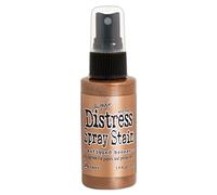 Ranger Spray Anti-Taches Bronze antiqué, 57 ML (1 pièce)