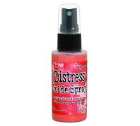 Ranger Tim Holtz-Distress Oxide Spray -Abandoned Coral Corail, Plastique, Taille M, Set de 57 Pièces