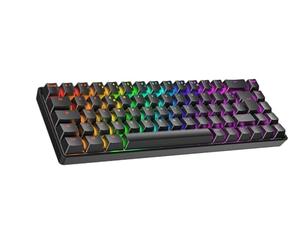Ranked Master M65 HE 65% | Rapid Trigger Technologie | Clavier Gaming Mécanique Magnétique | 69 Touches RGB LED pour PC/Mac Gamer | Clavier Français & Belge (AZERTY) (Noir, Clear Switch)