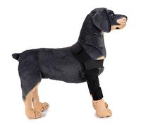 Ranphy, attelle de patte de chien, support de coude avant de jambe de chien, bande de compression pour déchirer le ligament croisé guérison, blessures, prévention de l'arthrite