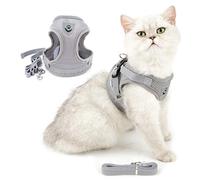 Ranphy Chat Chiot Harnais et Laisse Ensemble Harnais Petit Chien Régable Confort Air Mesh Rembourrée Respirante Entraînement Poitrine Gilet pour garçon, Fille, Chihuahua Petits Animaux Gris M