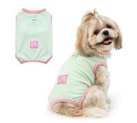 Ranphy Gilet sans manches avec bordure colorée pour chien avec sangles arrière de la jambe, chemise légère et rafraîchissante au toucher avec anneau en D, vêtement pour chiots de petite taille, chats