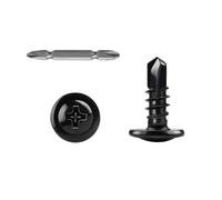 Ranstac M4.2x13mm Vis Autoperceuses à Tête Bombée Modifiée Phillips Drive 410 Vis Autotaraudeuses Rapides Pour Tôle en Acier Inoxydable 100Ppcs HS/ZGLS-06
