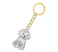 Ranuw Emotionally Porte-clés Boîte commémorative pour la perte des animaux de compagnie avec rangement transparent pour les propriétaires de deuil Porte-clés commémoratif transparent