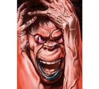 Ranx - Intégrale grand format Stefano Tamburini (Auteur), Alain Chabat (Auteur), Tanino Liberatore (Dessinateur), Tanino Liberatore (Coloriste)