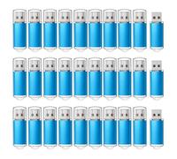 RAOYI 10 Pack 1GB 1G USB Flash Drive USB 2.0 Memory Stick Bulk Thumb Drive Pen Drive Blue