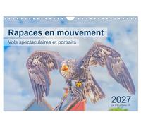 Rapaces en mouvement - Vols spectaculaires et portraits (Calendrier mural 2027 DIN A4 vertical), CALVENDO calendrier mensuel: Rapaces majestueux en plein vol