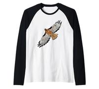Rapaces en vol - Buse à queue rouge Manche Raglan