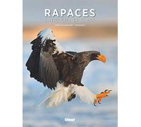 Rapaces - Entre Ciel Et Terre
