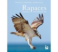 Rapaces: Les maîtres du ciel