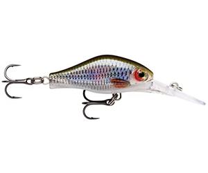 Rapala - Leurre de Pêche Shadow Rap Fat Jack - Construction Plastique - Leurre Pêche d'eau Douce Flottant - Profondeur de Nage 3m - Taille 4cm / 4g - Fabriqué en Estonie - Live Roach