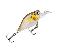 Rapala - Leurre de Pêche X-Light Crank Mid Runner Construction Plastique - Leurre Eau Douce Flottant - Profondeur de Nage 1,8m - Taille 3,5cm / 4g - Fabriqué en Estonie - Ayu