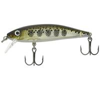 Rapala X-Rap Countdown 5cm 4g XRCD05 Coulant Leurre NEUF COULEURS