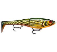 Rapala - Leurre de Pêche X-Rap Peto - Matériel de Pêche avec Queue Souple - Leurre Pêche d'Eau Douce - Profondeur de Nage 0.5-1 m - Taille 14 cm / 39 g - Fabriqué en Estonie - Scaled Roach