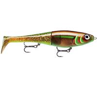 Rapala - Leurre de Pêche X-Rap Peto - Matériel de Pêche avec Queue Souple - Leurre Pêche d'eau Douce - Profondeur de Nage 0.5-1 m - Taille 14 cm / 39 g - Fabriqué en Estonie - Green Motoroil UV
