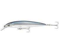 Rapala LEURRE SUSPENDING Saltwater X-Rap - 12CM - 22, A l'unité, Baitfish, 12, Plongeant, 1.2-2.4