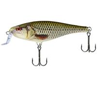 Rapala - Super Shad Rap un leurre flottant pour la pêche au lancer en eau douce pour les brochets, perches et black bass - 14cm,45g coloris Live Roach