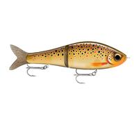 Rapala Super Shadow Rap Glide 11 CM 45 GR Appât Artificiel Pour Brochet Swimbait