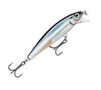 Rapala X-Rap Magnum Cast Leurre avec Hameçons Deux No 2, 1.2-1.5m Profondeur de Nage, 10cm Taille, Anchovy