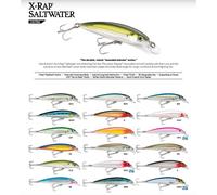 LEURRE PLONGEANT RAPALA SALTWATER X-RAP - 10CM